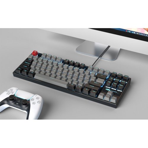 Клавіатура MageGee MK-STAR Blue Switch (6971969720657-UA) Black/Grey купити в Україні: Київ, Львів, Хмельницький, Тернопіль, Івано-Франківськ | Низька ціна, відгуки, характеристики від TELEMART фото