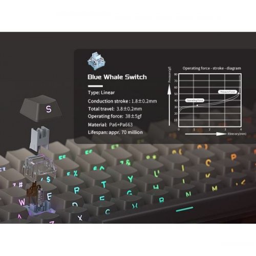 Клавиатура MageGee Light 100 RGB Blue Whale Switch Wireless (6971969728448) Star/Grey купить в Украине: Киев, Днепр, Харьков, Одесса  | Низкая цена, отзывы, характеристики от TELEMART фото