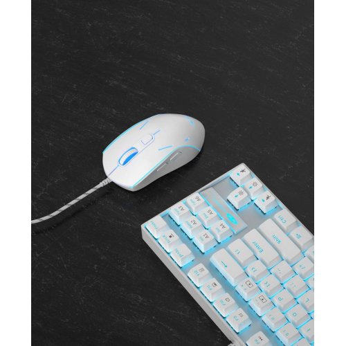Мышка MageGee G12 (6971969722309) White купить в Украине: Киев, Днепр, Харьков, Одесса  | Низкая цена, отзывы, характеристики от TELEMART фото