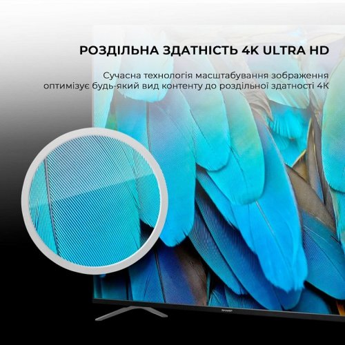 Телевизор Sharp 55" 4T-C55GP6260ES Silver купить в Украине: Киев, Днепр, Харьков, Одесса  | Низкая цена, отзывы, характеристики от TELEMART фото