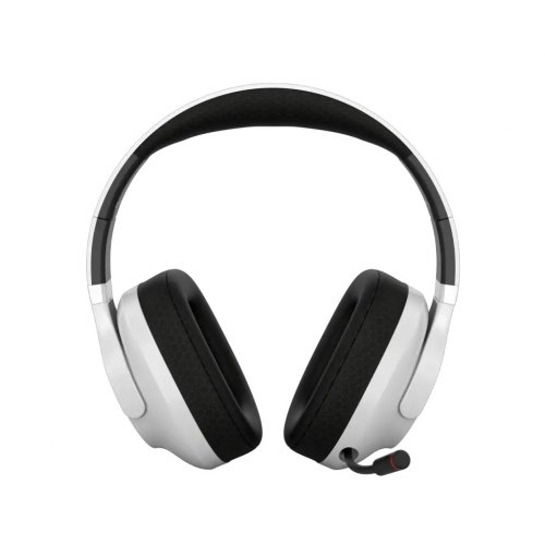 Наушники Canyon Ego GH-15 (CND-SGHS15W) White купить в Украине: Киев, Днепр, Харьков, Одесса  | Низкая цена, отзывы, характеристики от TELEMART фото