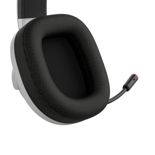 Наушники Canyon Ego GH-15 (CND-SGHS15W) White купить в Украине: Киев, Днепр, Харьков, Одесса  | Низкая цена, отзывы, характеристики от TELEMART фото