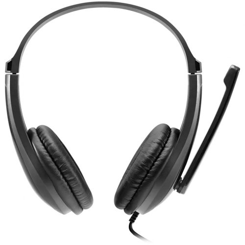 Наушники Canyon HSC-1 (CNS-CHSC1B) Black купить в Украине: Киев, Днепр, Харьков, Одесса  | Низкая цена, отзывы, характеристики от TELEMART фото