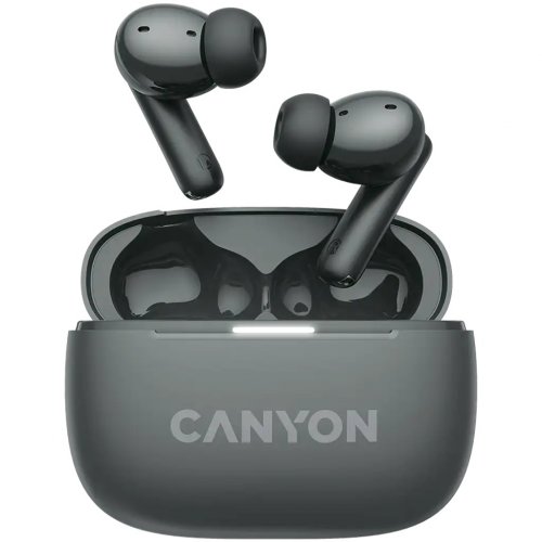 Наушники Canyon On Go 10 ANC TWS-10 (CNS-TWS10BK) Grey купить в Украине: Киев, Днепр, Харьков, Одесса  | Низкая цена, отзывы, характеристики от TELEMART фото