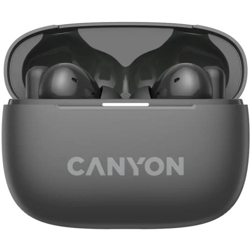 Наушники Canyon On Go 10 ANC TWS-10 (CNS-TWS10BK) Grey купить в Украине: Киев, Днепр, Харьков, Одесса  | Низкая цена, отзывы, характеристики от TELEMART фото