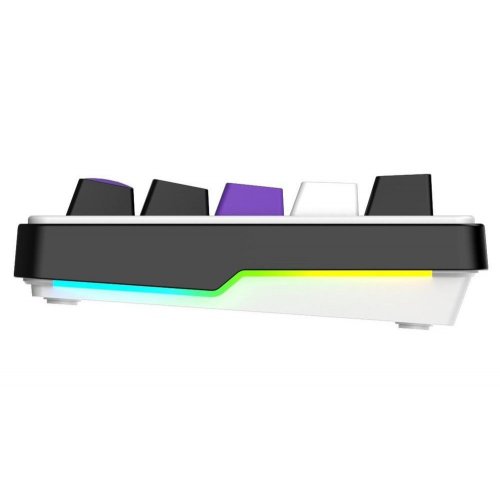 Уценка клавиатура HATOR HK60 Hellyberry Mechanical Linear White/Violet (Вскрытая упаковка, 893574) купить в Украине: Киев, Днепр, Харьков, Одесса  | Низкая цена, отзывы, характеристики от TELEMART фото