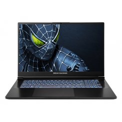 Ноутбук Dream Machines RG5050-17 (RG5050-17UA35) Black