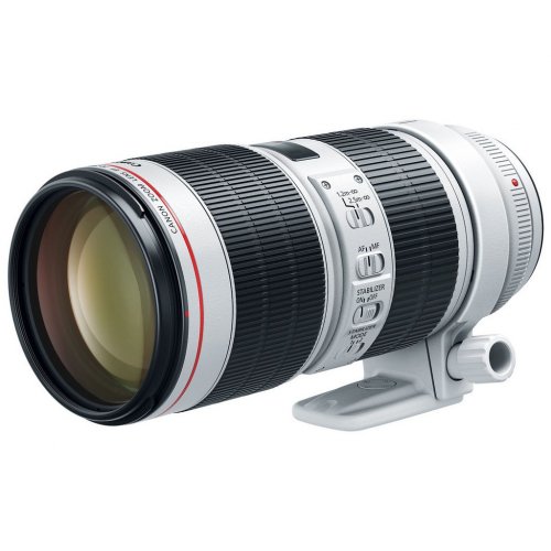 Объектив Canon EF 70-200mm f/2.8L IS III USM (3044C005) купить в Украине | Telemart фото