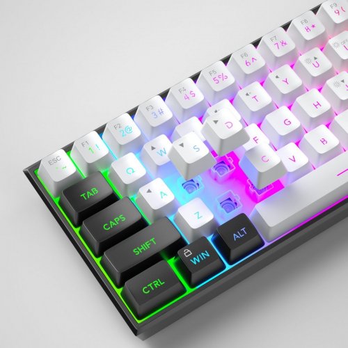 Уценка клавиатура MageGee TS91 RGB (6971969727502-UA) Black/White (Вскрытая упаковка, 898089) купить в Украине | Telemart фото