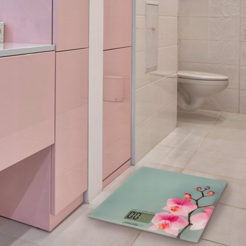 Напольные весы Esperanza EBS010 White купить в Украине | Telemart фото