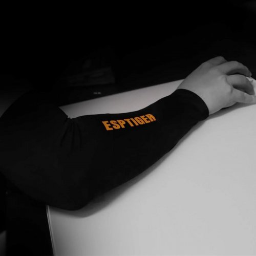 Геймерский рукав EspTiger ECL-T0119B Arm Sleeve Long L (SL-ET-ECL-T0119B-L) Black купить в Украине | Telemart фото