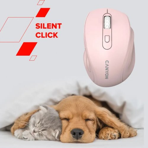 Миша Canyon OnClick 20 Wireless (CNE-CMSW20W) White купити в Україні | Telemart фото