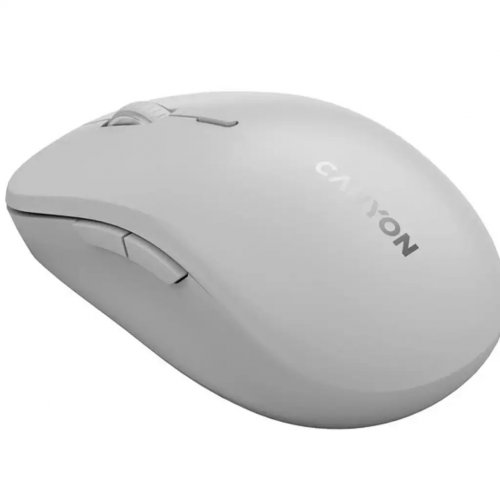 Мышка Canyon MW-12 Wireless (CNS-CMSW12DG) Gray купить в Украине | Telemart фото
