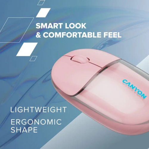 Мышка Canyon OnClick 24 Wireless (CNS-CMSW24B) Transparent Black купить в Украине | Telemart фото
