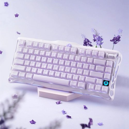 Клавиатура GravaStar Mercury K1 RGB GravaStar x Kailh Cheery Pink (GSK1_PL) Lavender Purple купить в Украине | Telemart фото