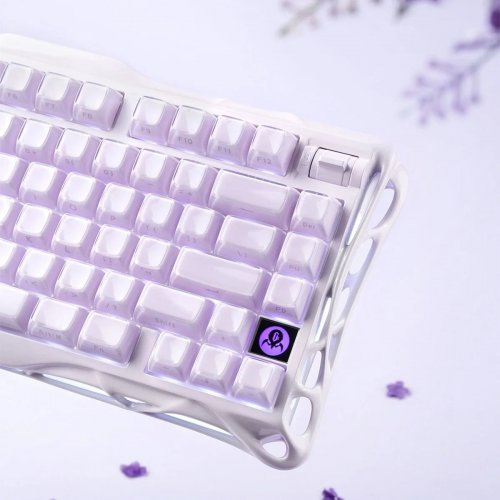 Клавиатура GravaStar Mercury K1 RGB GravaStar x Kailh Cheery Pink (GSK1_PL) Lavender Purple купить в Украине | Telemart фото