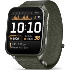 Умные часы Garmin Venu X1 (010-02980-03) Moss