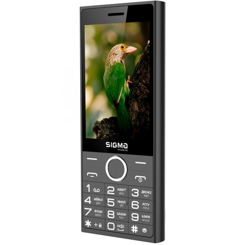 Кнопковий телефон Sigma mobile X-style 353 Trend (4827798626214) Black купити в Україні | Telemart фото