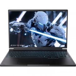 Ноутбук Thunderobot RS16 (RS16-i9139HX57C1Q240ARB) Black