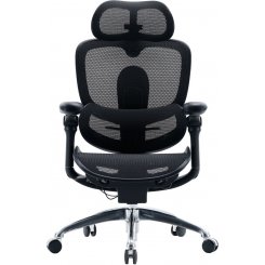Крісло офісне Sihoo DORO C300 Pro V2 (C300-PRO-V2-B101) Black