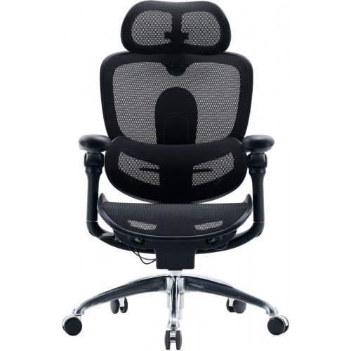 Офисное кресло Sihoo DORO C300 Pro V2 (C300-PRO-V2-B101) Black купить в Украине | Telemart фото