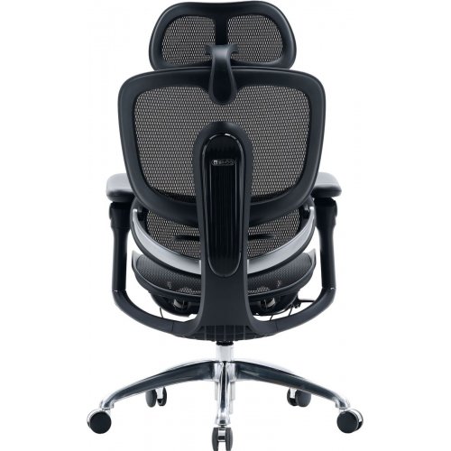 Офисное кресло Sihoo DORO C300 Pro V2 (C300-PRO-V2-B101) Black купить в Украине | Telemart фото