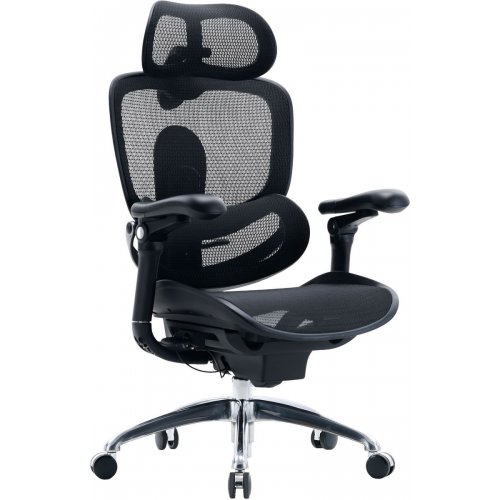 Офисное кресло Sihoo DORO C300 Pro V2 (C300-PRO-V2-B101) Black купить в Украине | Telemart фото
