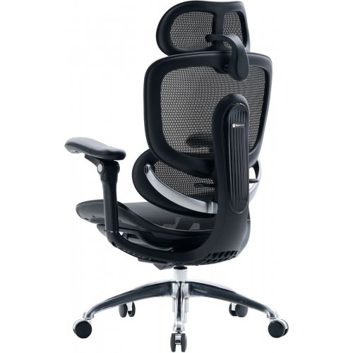 Офисное кресло Sihoo DORO C300 Pro V2 (C300-PRO-V2-B101) Black купить в Украине | Telemart фото