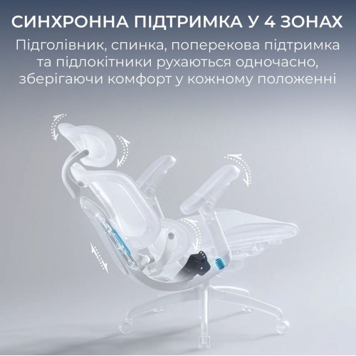 Офисное кресло Sihoo DORO C300 Pro V2 (C300-PRO-V2-B101) Black купить в Украине | Telemart фото