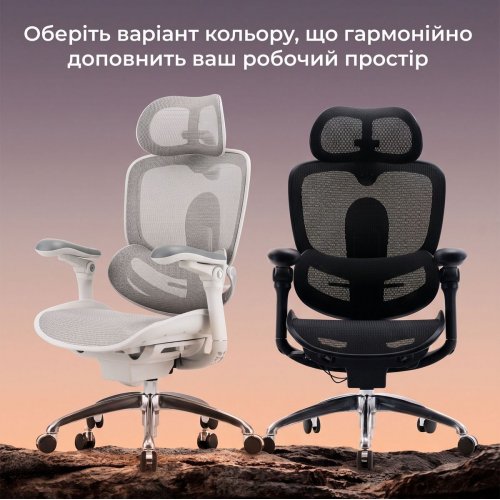 Офисное кресло Sihoo DORO C300 Pro V2 (C300-PRO-V2-B101) Black купить в Украине | Telemart фото