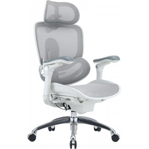Офисное кресло Sihoo DORO C300 Pro V2 (C300-PRO-V2-B102) White купить в Украине | Telemart фото