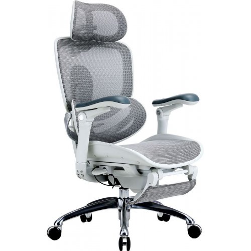 Крісло офісне з підставкою для ніг Sihoo DORO C300 Pro V2 with Footrest (C300-PRO-V2-B102-JT) White купити в Україні | Telemart фото