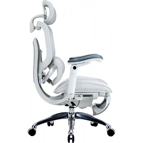 Крісло офісне з підставкою для ніг Sihoo DORO C300 Pro V2 with Footrest (C300-PRO-V2-B102-JT) White купити в Україні | Telemart фото