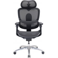 Крісло офісне Sihoo DORO C300 Lite V2 (C300-LITE-V2-B101) Black