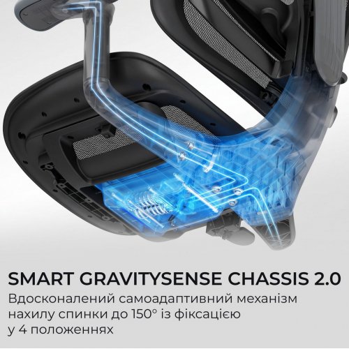 Офисное кресло Sihoo DORO C300 Lite V2 (C300-LITE-V2-B101) Black купить в Украине | Telemart фото
