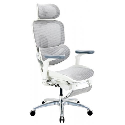 Офисное кресло Sihoo DORO C300 Lite V2 (C300-LITE-V2-B102) White купить в Украине | Telemart фото