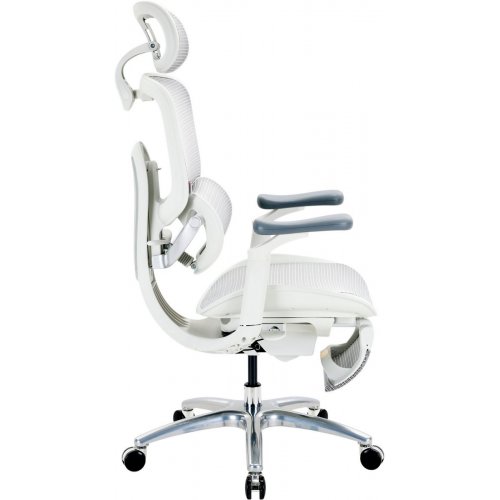 Крісло офісне з підставкою для ніг Sihoo DORO C300 Lite V2 with Footrest (C300-LITE-V2-B102-JT) White купити в Україні | Telemart фото