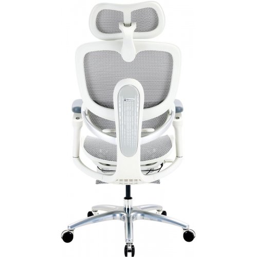 Крісло офісне з підставкою для ніг Sihoo DORO C300 Lite V2 with Footrest (C300-LITE-V2-B102-JT) White купити в Україні | Telemart фото
