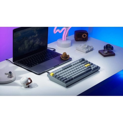 Клавіатура Keychron Q1 QMK RGB Gateron G Pro Blue Hot-Swap Knob (Q1N2) Silver Grey купити в Україні | Telemart фото