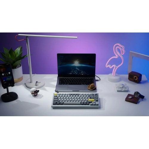 Клавіатура Keychron Q1 QMK RGB Gateron G Pro Blue Hot-Swap Knob (Q1N2) Silver Grey купити в Україні | Telemart фото