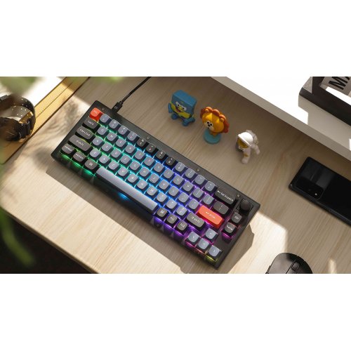 Клавіатура Keychron V2 RGB Keychron K Pro Brown Switch Hot-Swap (V2-A3) Frosted Black купити в Україні | Telemart фото