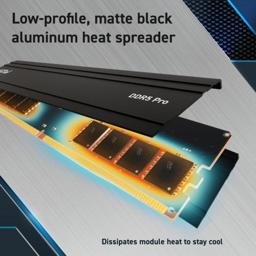 ОЗУ Crucial DDR5 32GB 5600Mhz Pro (CP32G60C40U5BT) купить в Украине | Telemart фото