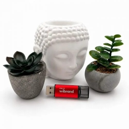 Накопитель Wibrand Ladybug 32GB USB 3.2 Gen 1 (WI3.2/LB32P10S) Red купить в Украине | Telemart фото