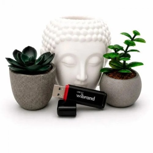 Накопичувач Wibrand Scarab 32GB USB 3.2 Gen 1 (WI3.2/SC32P11B) Black купити в Україні | Telemart фото