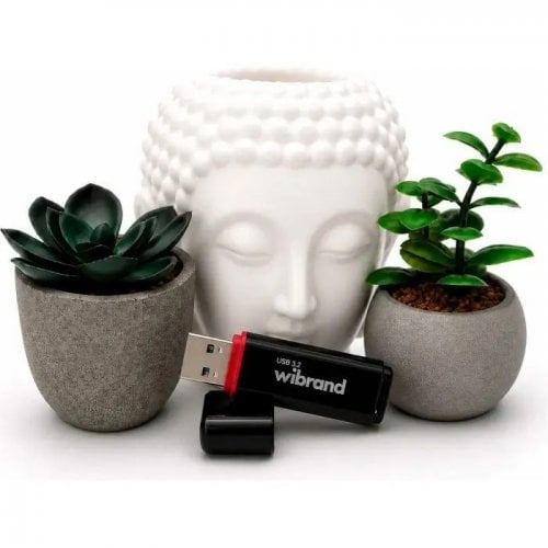 Накопичувач Wibrand Scarab 64GB USB 3.2 Gen 1 (WI3.2/SC64P11B) Black купити в Україні | Telemart фото