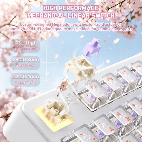 Уценка клавиатура Attack Shark X87 Ultra RGB Meg Shark Switches Wireless (AS-6979033730236-IO) Iced Orange (Вскрытая упаковка, 914172) купить в Украине | Telemart фото