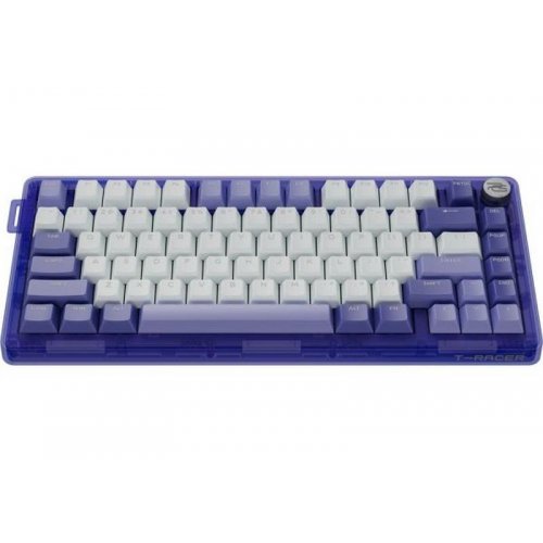 Клавиатура Proove Gaming T-Racer RGB KTT Hyacinth Pink Wireless (WKTR00022417) White/Purple купить в Украине | Telemart фото