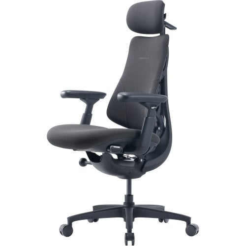 Ергономічне крісло LiberNovo Omni Gen (CP-GW-1000088-00-05) Graphite купити в Україні | Telemart фото