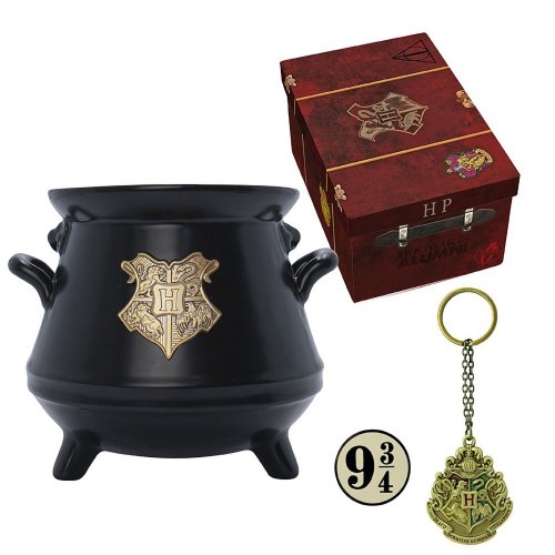 Подарунковий набір ABYstyle Harry Potter Hogwarts чашка 3D, брелок 3D, значок (ABYPCK251) купити в Україні | Telemart фото