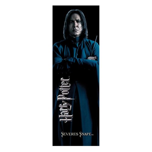 Ручка і закладинка Noble Collection Harry Potter Snape Wand (NN7990) купити в Україні | Telemart фото